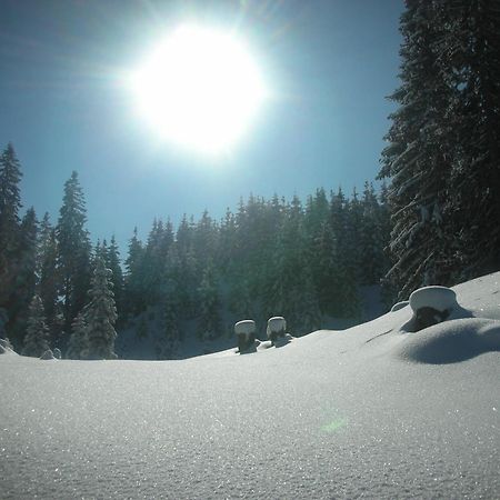 Ferienparadies Taxen Sankt Veit im Pongau Extérieur photo