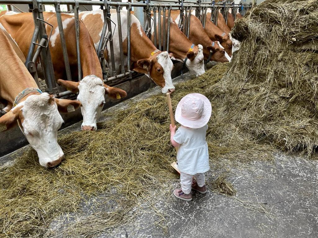 Ferienparadies Taxen Sankt Veit im Pongau Extérieur photo