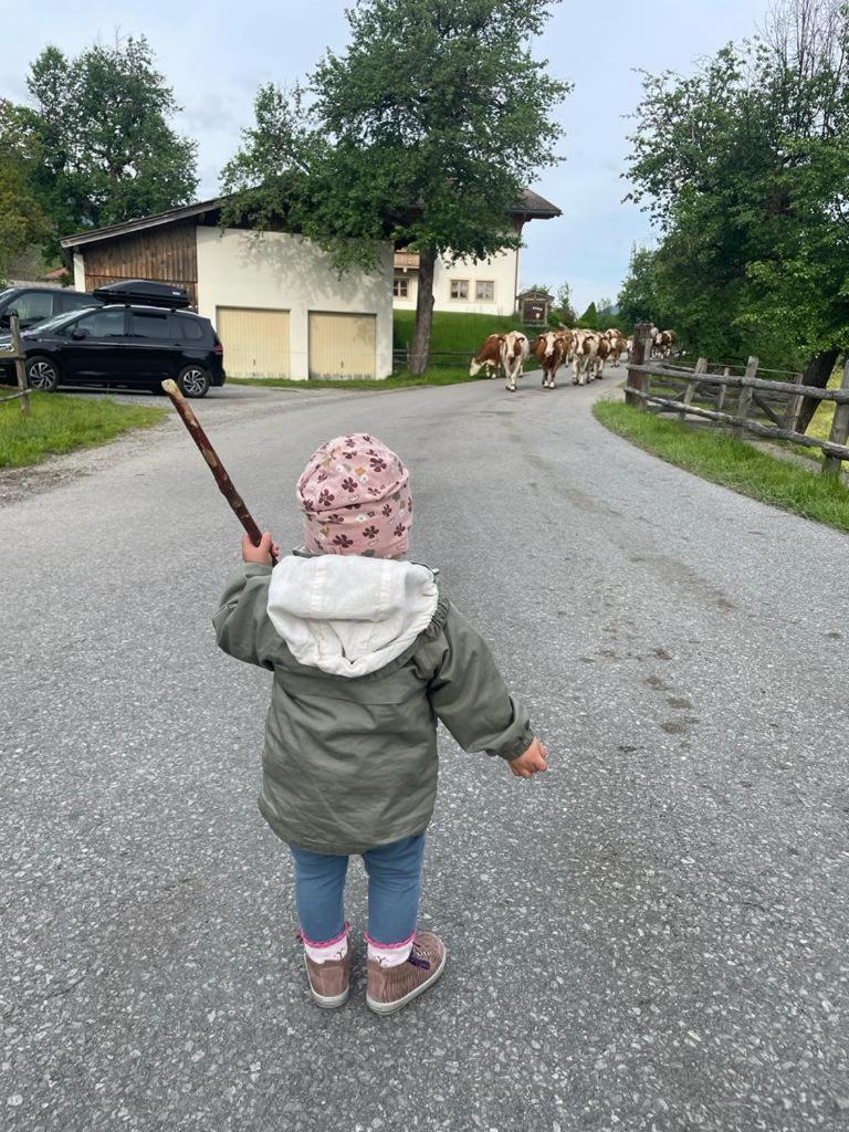 Ferienparadies Taxen Sankt Veit im Pongau Extérieur photo