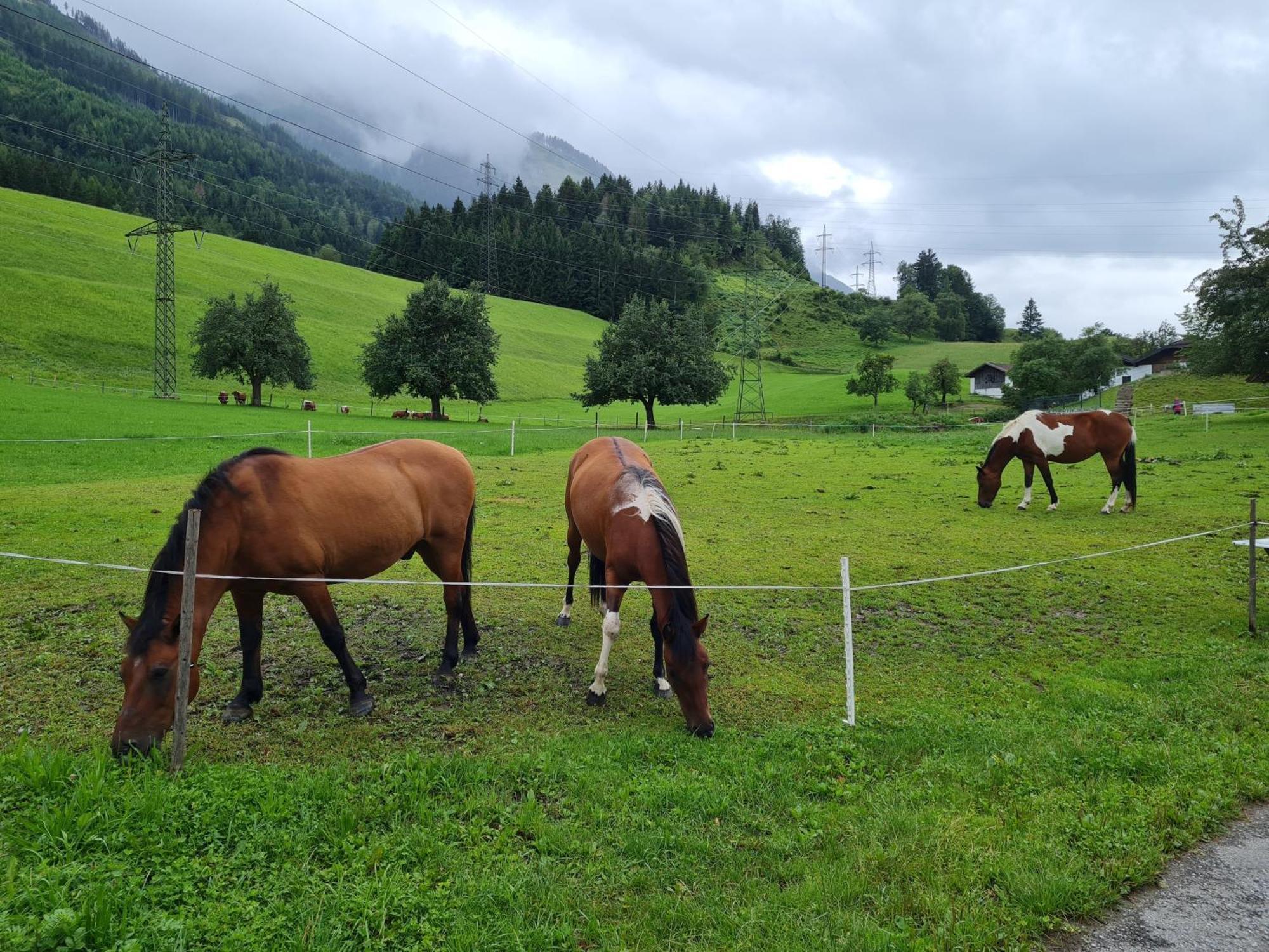 Ferienparadies Taxen Sankt Veit im Pongau Extérieur photo
