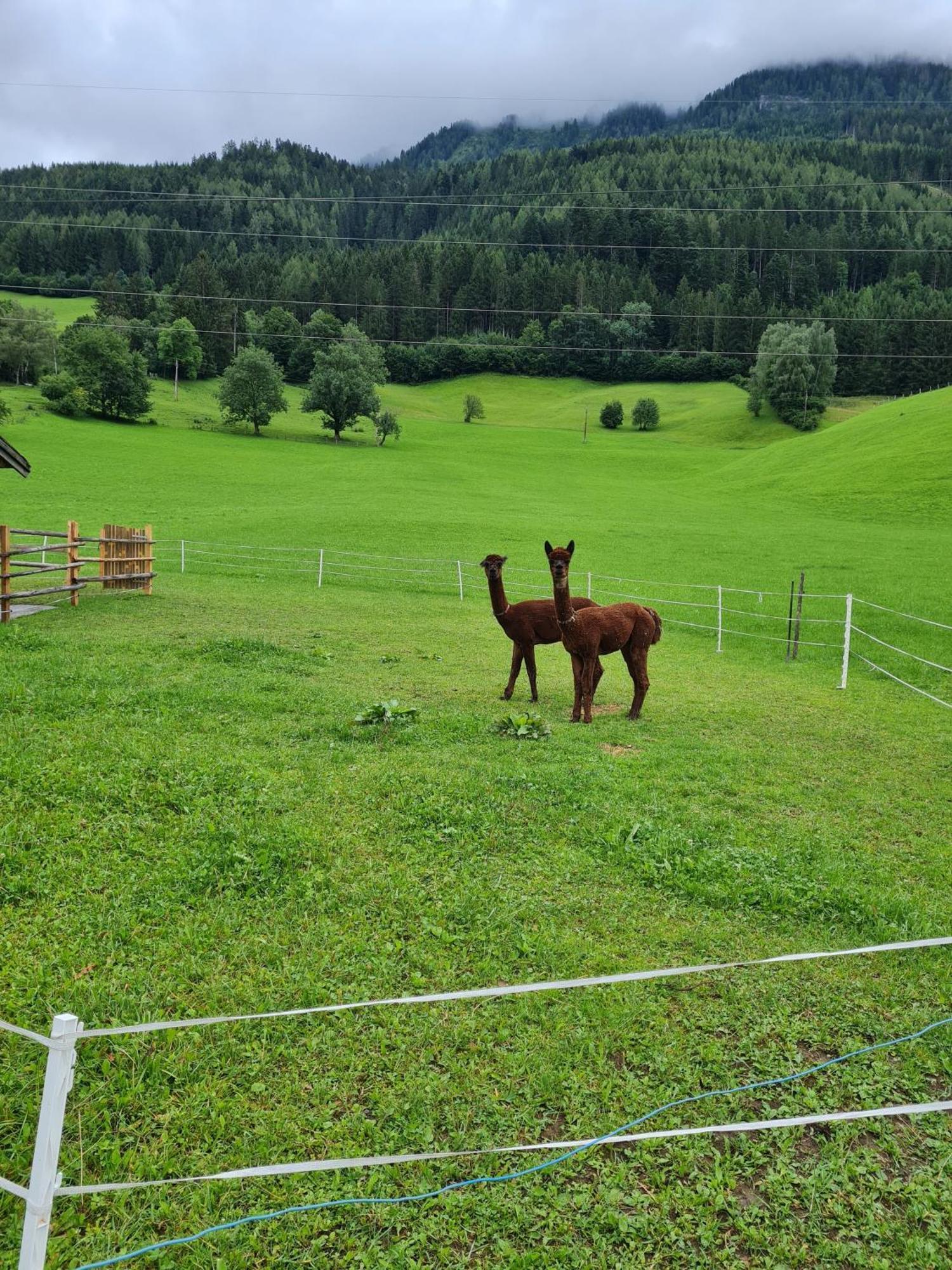 Ferienparadies Taxen Sankt Veit im Pongau Extérieur photo