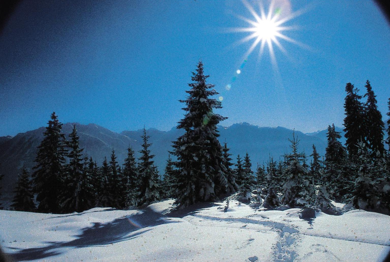 Ferienparadies Taxen Sankt Veit im Pongau Extérieur photo