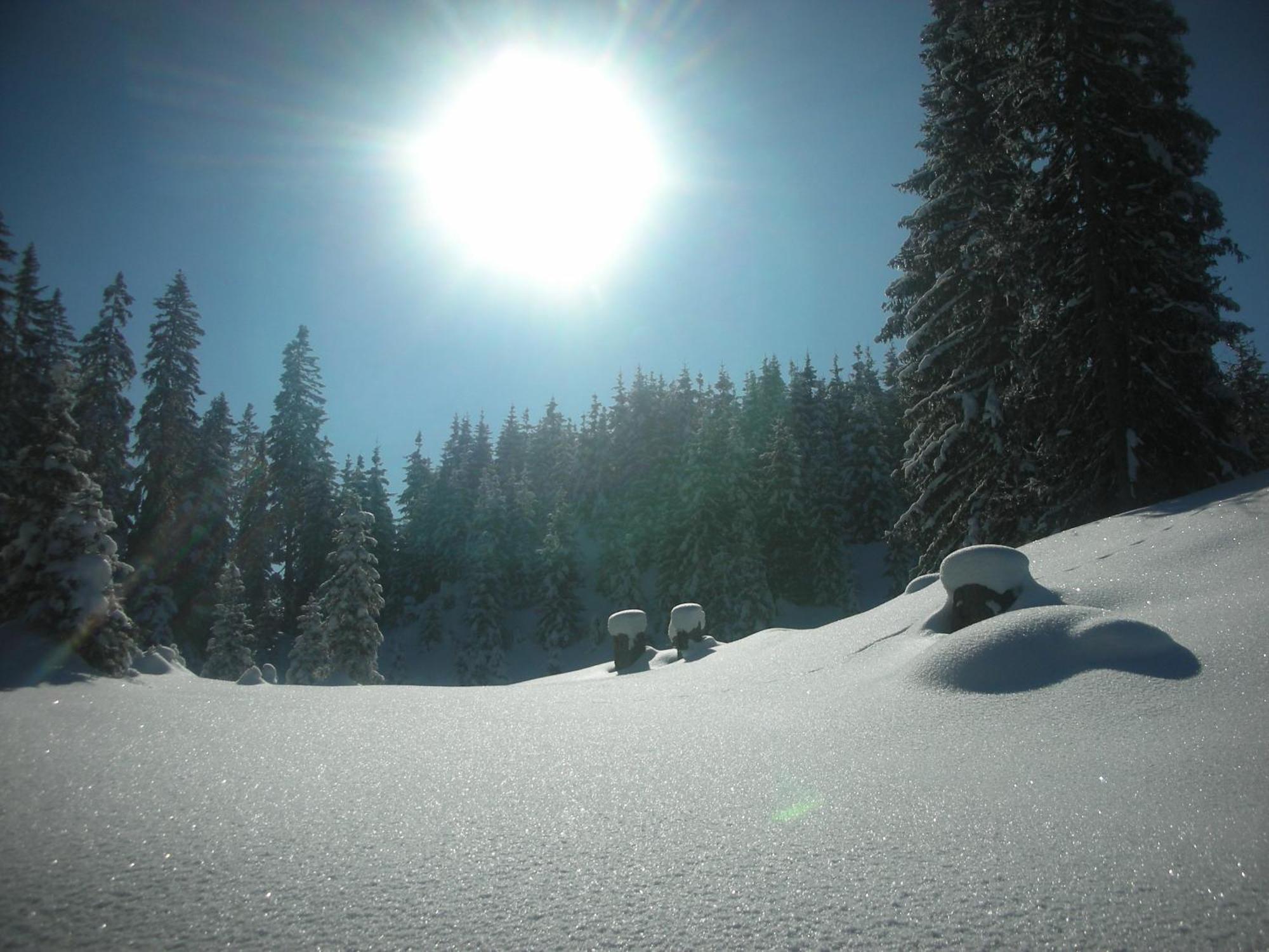 Ferienparadies Taxen Sankt Veit im Pongau Extérieur photo