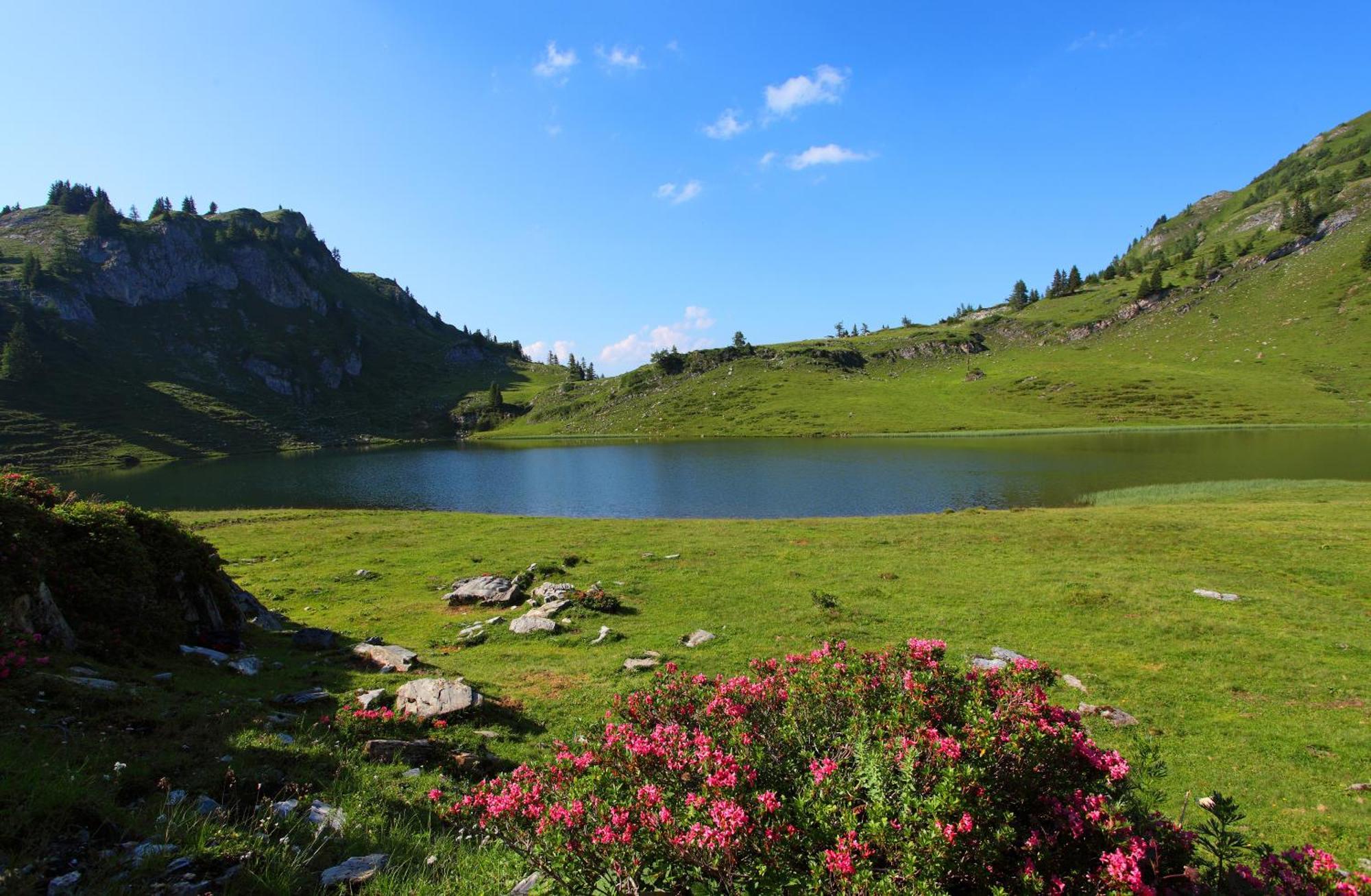 Ferienparadies Taxen Sankt Veit im Pongau Extérieur photo
