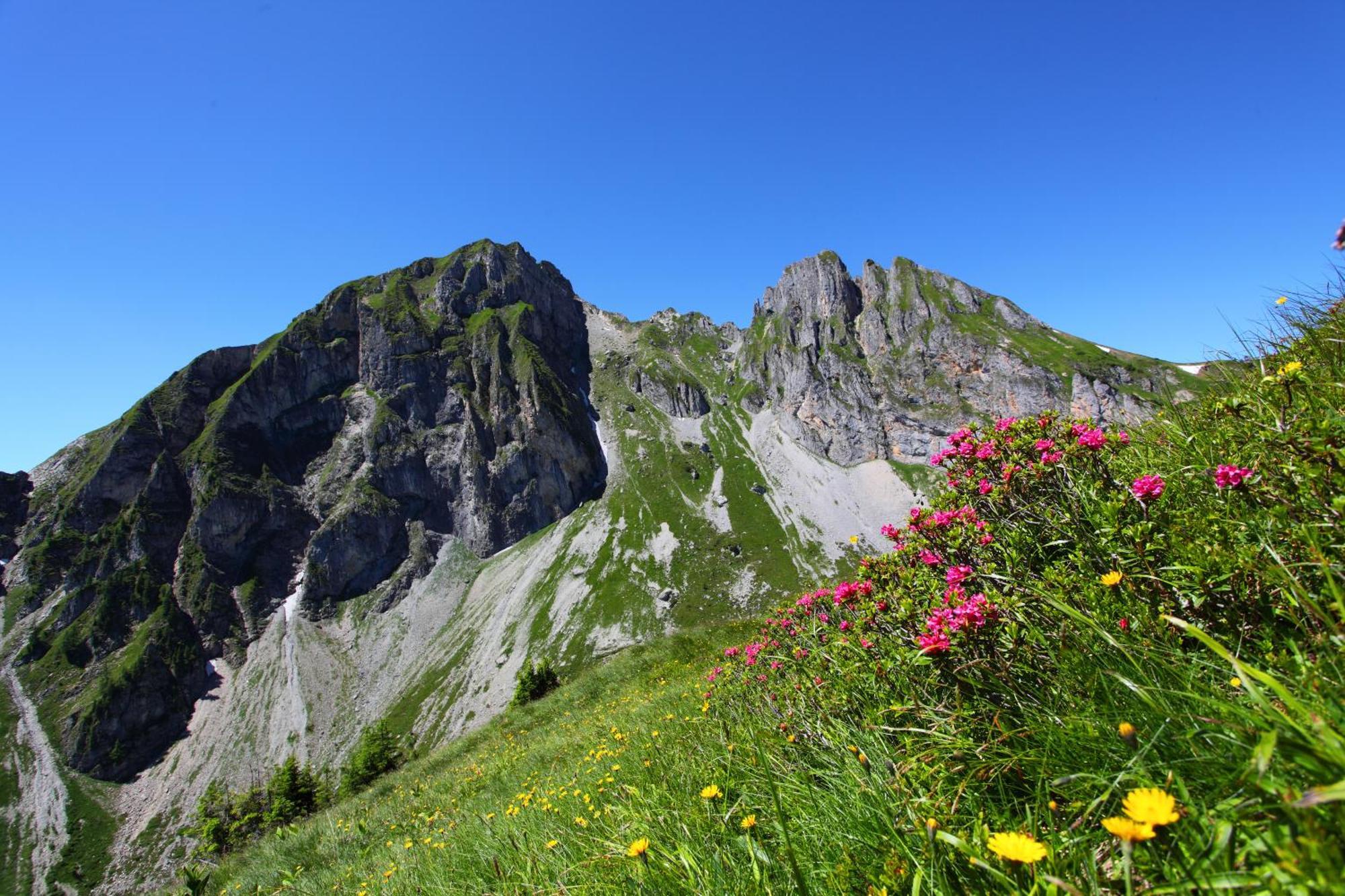 Ferienparadies Taxen Sankt Veit im Pongau Extérieur photo